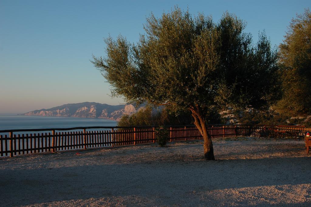 Agriturismo Codula Fuili 卡拉古诺内 外观 照片