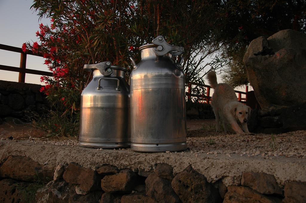 Agriturismo Codula Fuili 卡拉古诺内 外观 照片