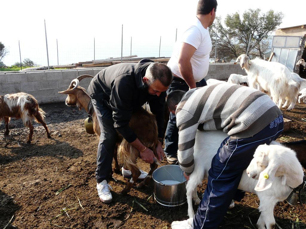 Agriturismo Codula Fuili 卡拉古诺内 外观 照片