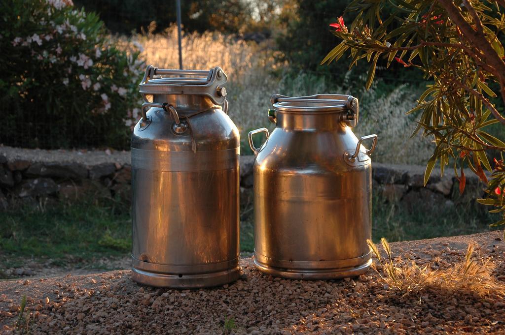 Agriturismo Codula Fuili 卡拉古诺内 外观 照片