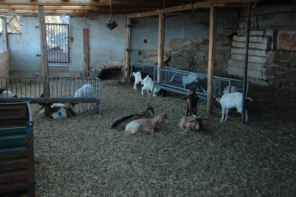 Agriturismo Codula Fuili 卡拉古诺内 外观 照片
