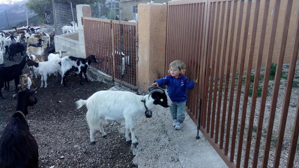Agriturismo Codula Fuili 卡拉古诺内 外观 照片