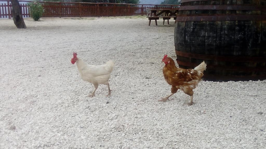 Agriturismo Codula Fuili 卡拉古诺内 外观 照片