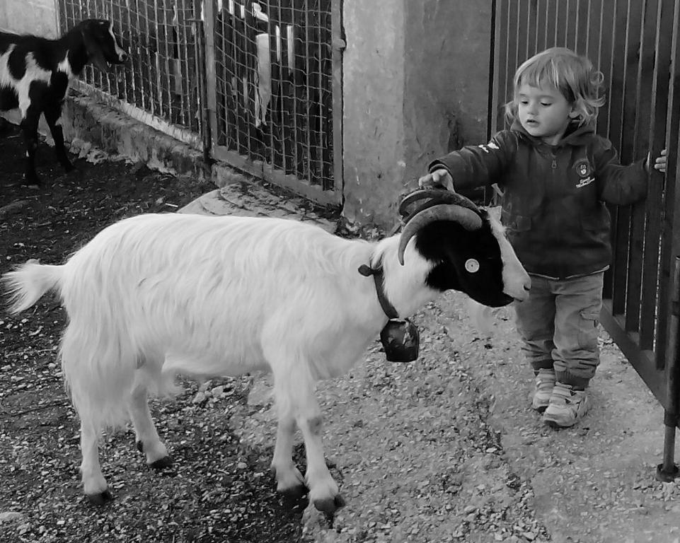 Agriturismo Codula Fuili 卡拉古诺内 外观 照片