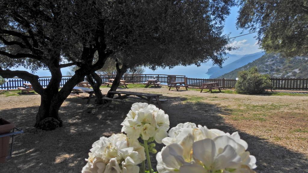 Agriturismo Codula Fuili 卡拉古诺内 外观 照片