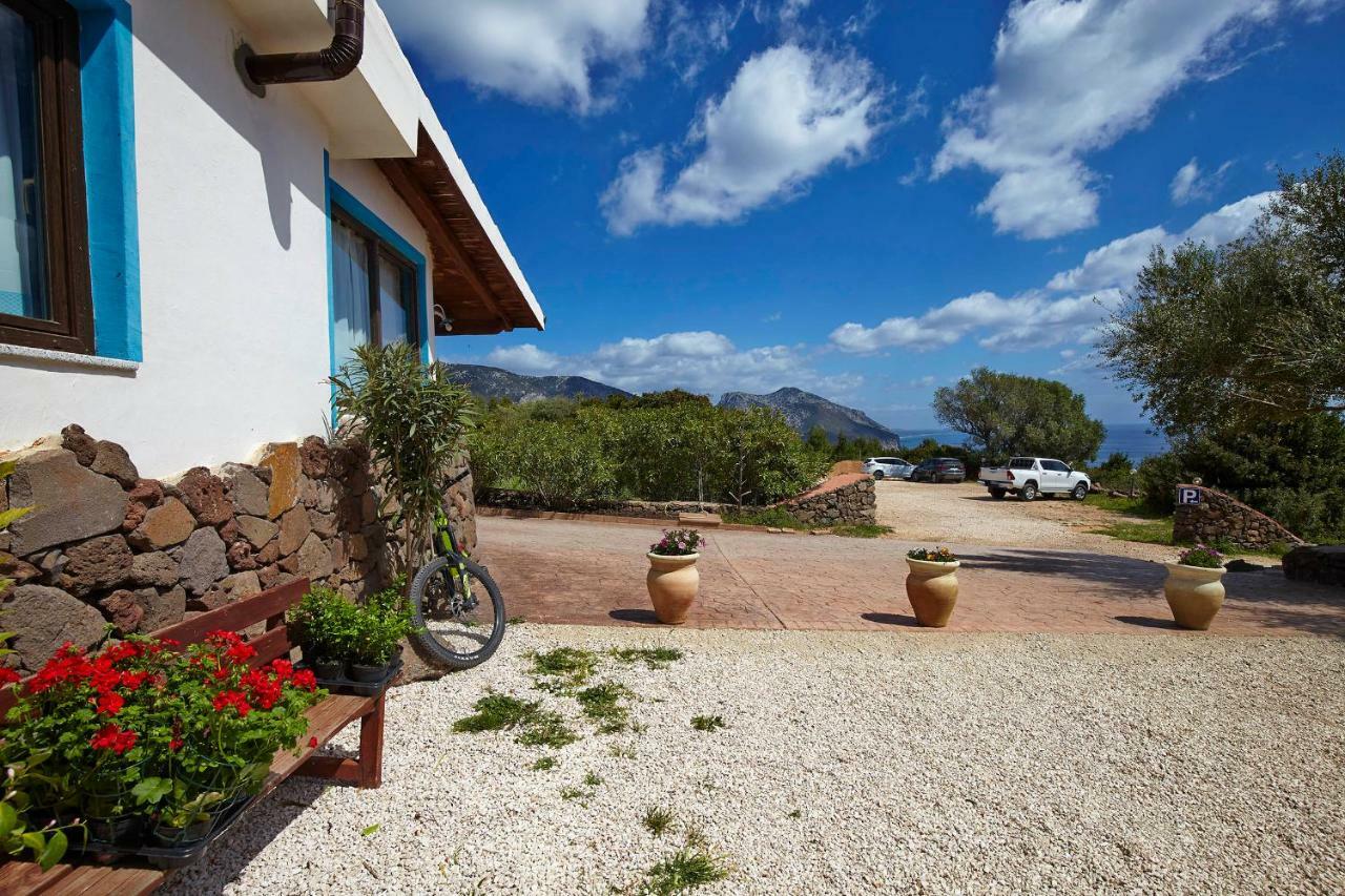 Agriturismo Codula Fuili 卡拉古诺内 外观 照片